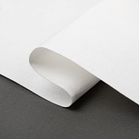 Дублерин сорочечный тканый точечный G-273t (50м) шир.112см 150г/м цв.белый